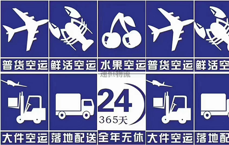 國(guó)內(nèi)航空運(yùn)輸